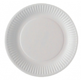100 assiettes rondes blanches en carton 21 cm